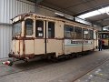 Trammoldie   049